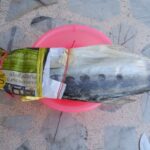 how-to-make-salted-fish-10